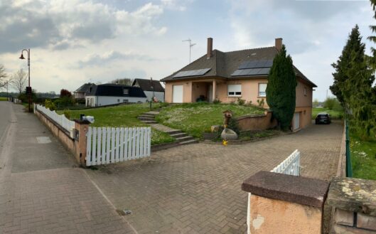 amenagement-paysager-maison-alsace-jardin-paysage-alsaciennedepaysage-photo-existant