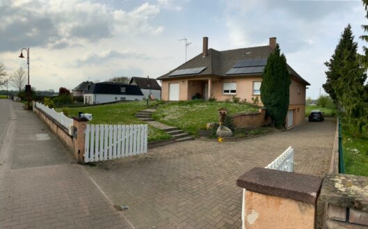 amenagement-paysager-maison-alsace-jardin-paysage