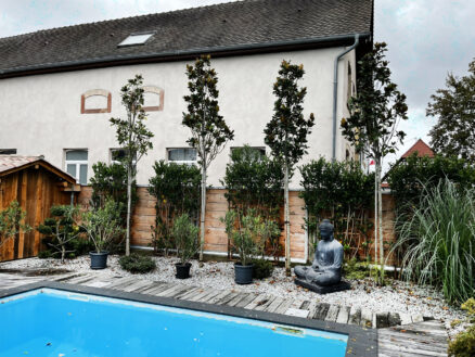 amenagement-projet-zen-paysage-alsace