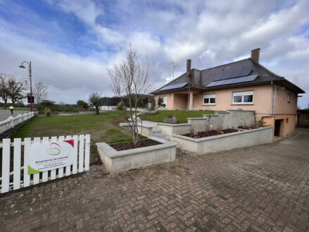 amenagement-paysager-maison-alsace-jardin-paysage-photo-murets-projet