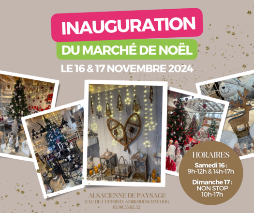 Offre promo sur le marché de Noël